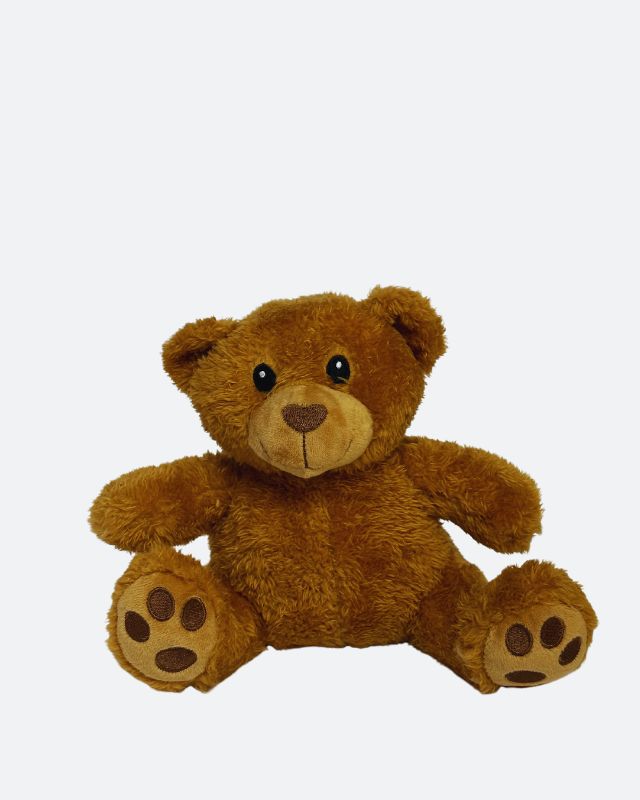 Teddy the Bear