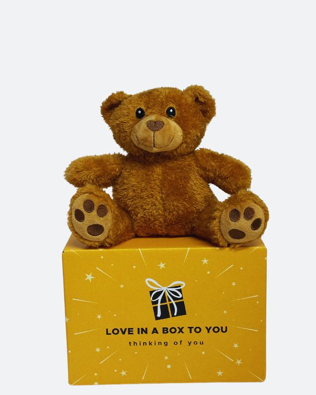 Teddy the Bear