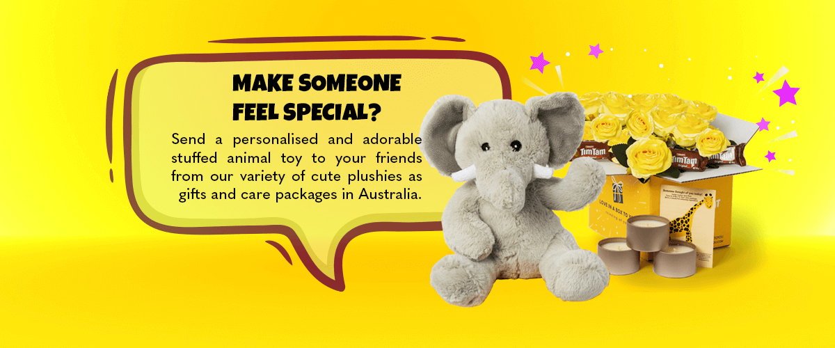 Stuffed Animal Toy Care Packages LoveInABoxToYou Love In A Box