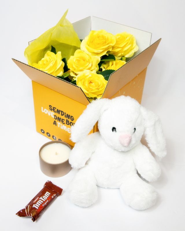 Plush toy rabbit bunny with accessories