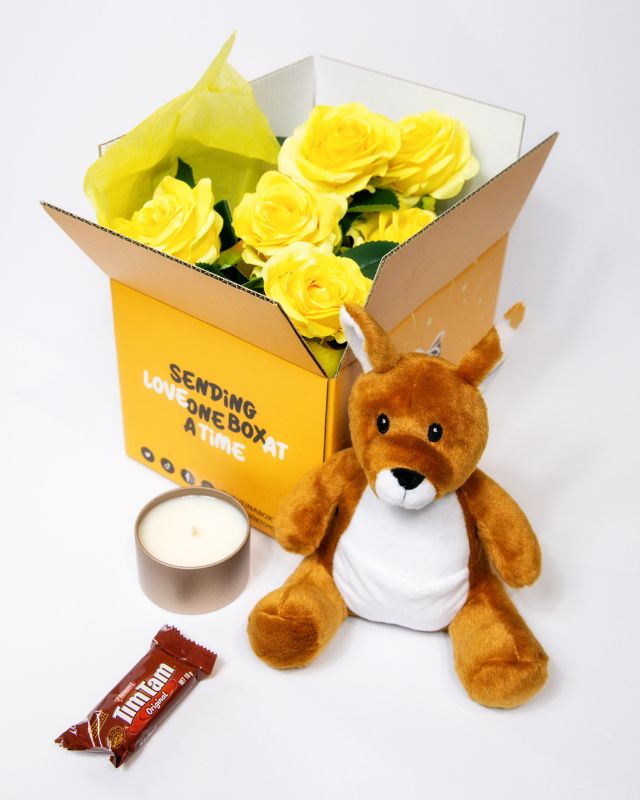 Plush toy kangaroo with accessories