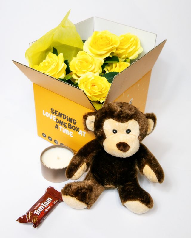 Plush toy monkey with accessories