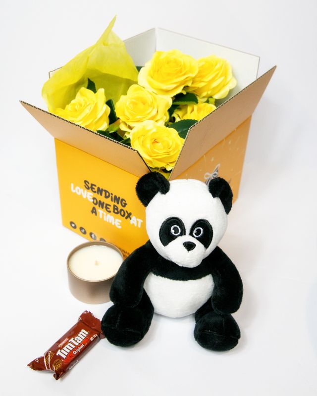 Plush toy panda with accessories