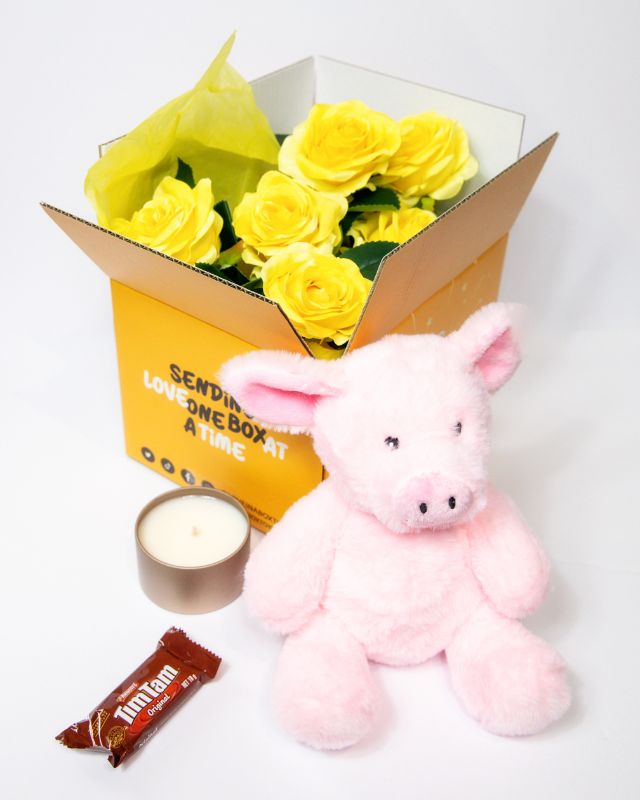 Plush toy pig with accessories