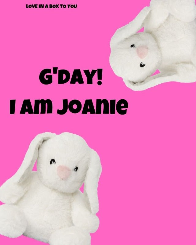 White Rabbit Bunny plush animal toys gift care package in Australia