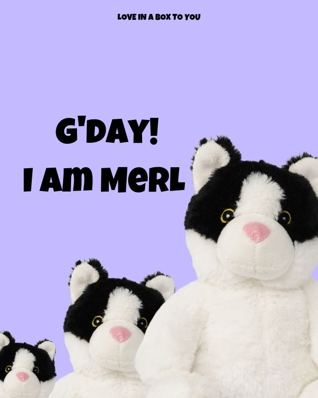 Best Cat plush animal toys gift care package in Australia