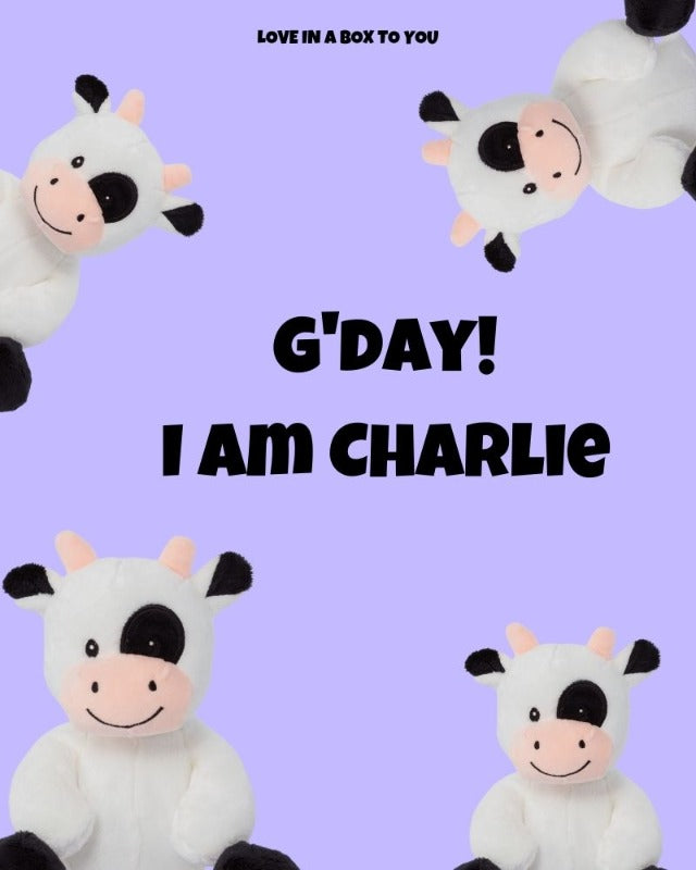White Cow plush animal toys gift care package in Australia