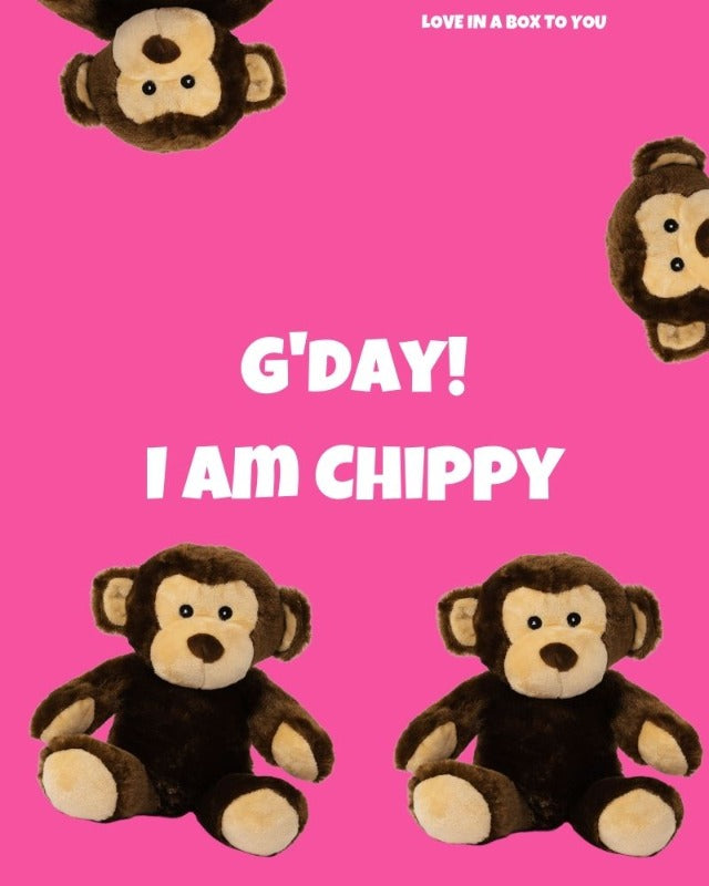 Brown Monkey plush animal toys gift care package in Australia