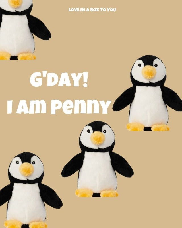 Cute Penguin plush animal toys gift care package in Australia