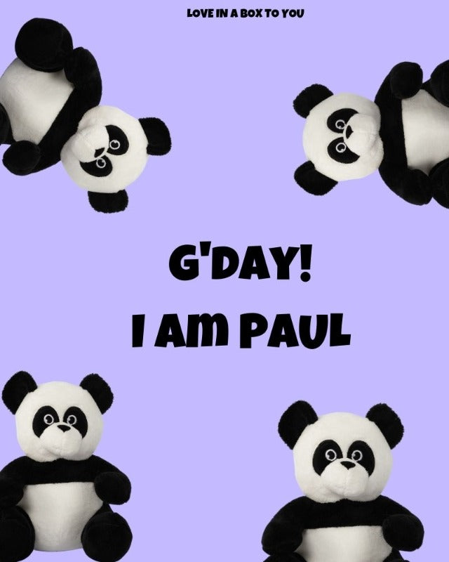 Black and White Panda plush animal toys gift care package in Australia
