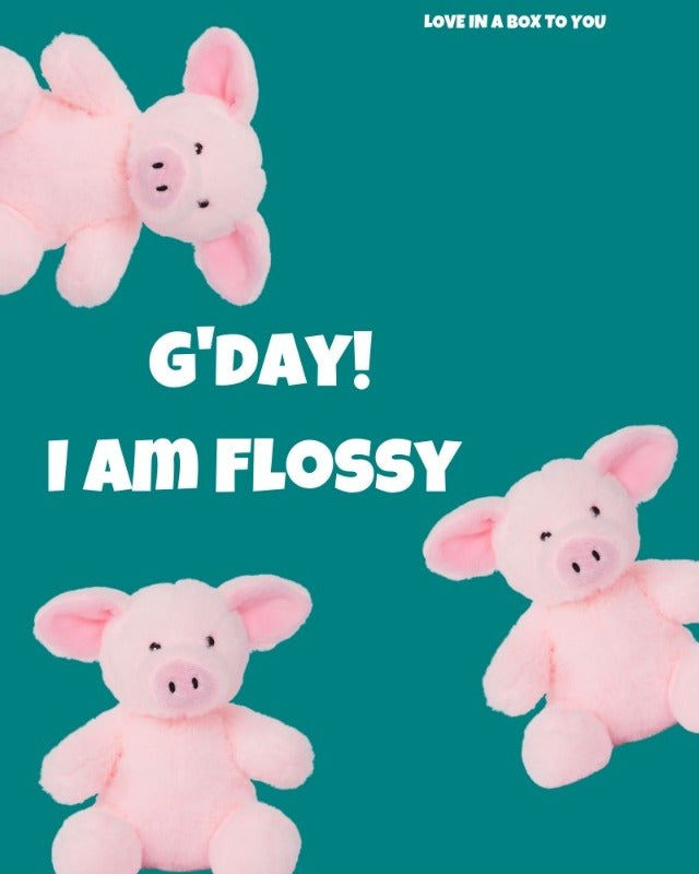 Pink pig plush animal toys gift care package in Australia