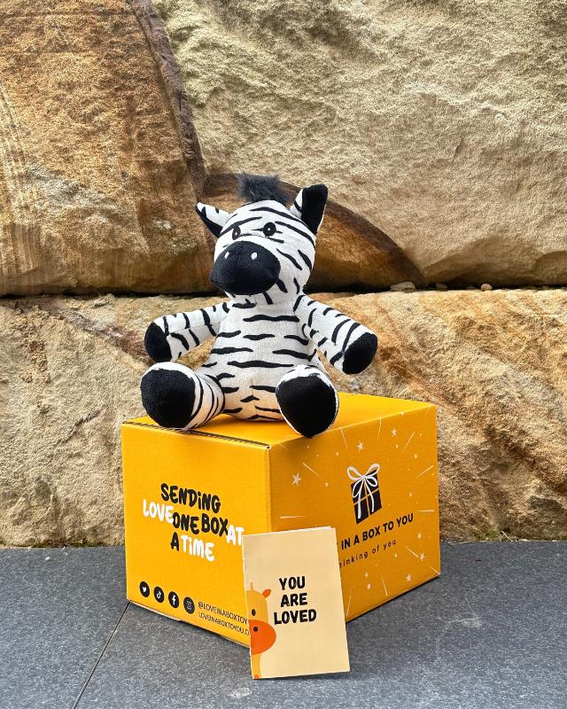 The Best Plush Animal Stuffed Toy Seal