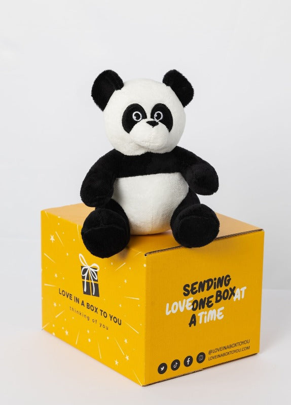 Black and White Panda plush animal toys gift care package in Australia