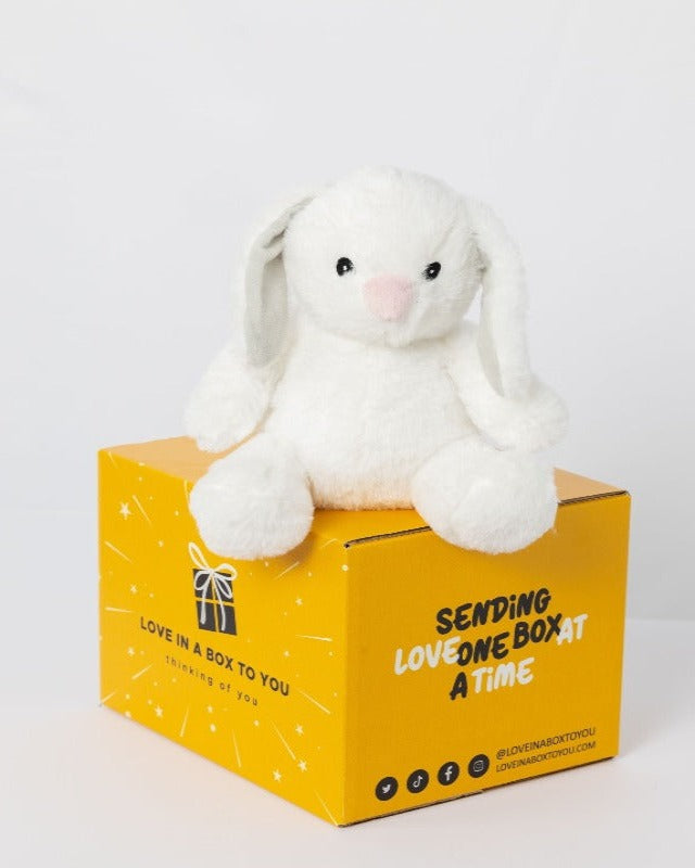 White Rabbit Bunny plush animal toys gift care package in Australia