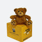 Teddy the Bear