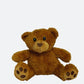 Teddy the Bear