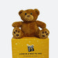 Teddy the Bear