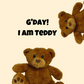 Teddy the Bear