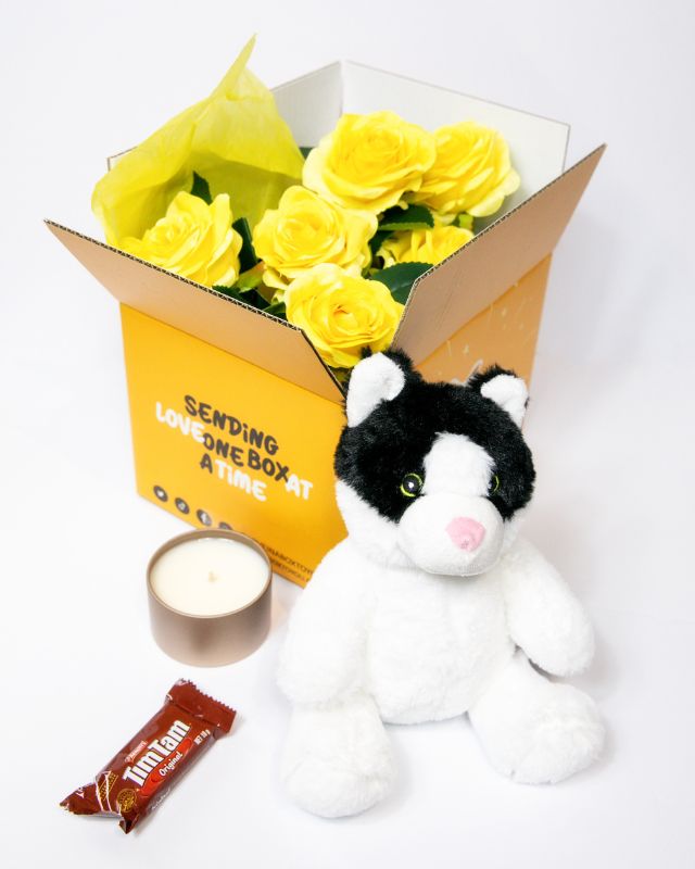 Plush toy cat with accessories
