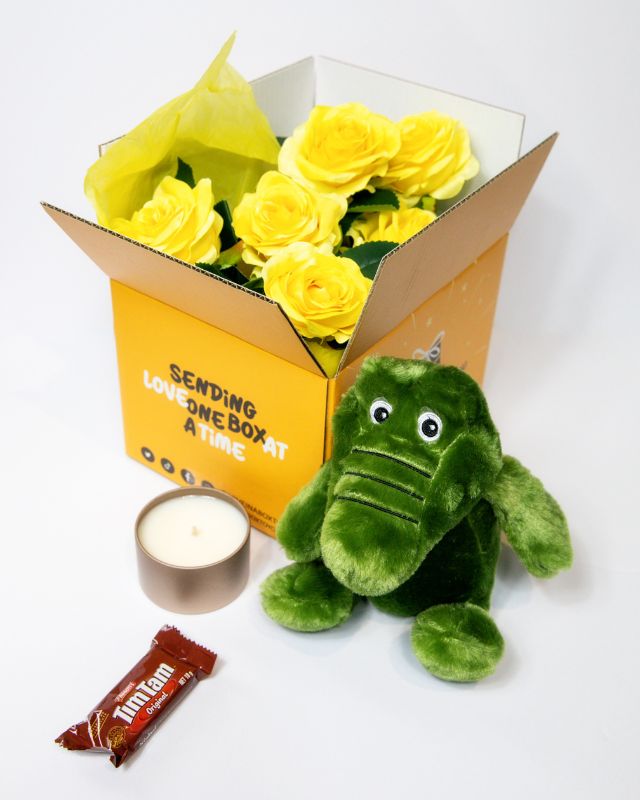 Plush toy crocodile with accessories