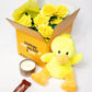 Plush toy duck with accessories