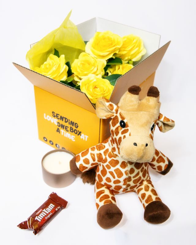 Plush toy giraffe with accessories