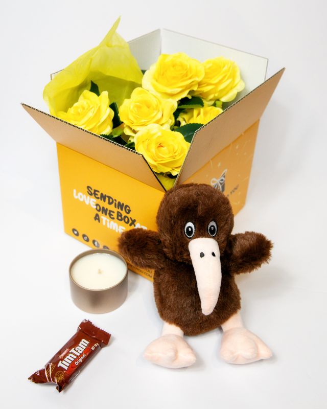 Plush toy kiwi bird with accessories
