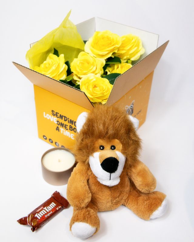 Plush toy lion with accessories