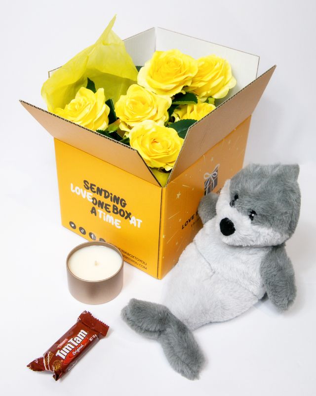 Plush toy seal with accessories