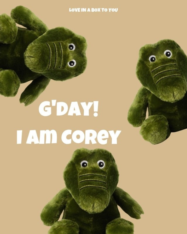 Green Crocodile plush animal toys gift care package in Australia 