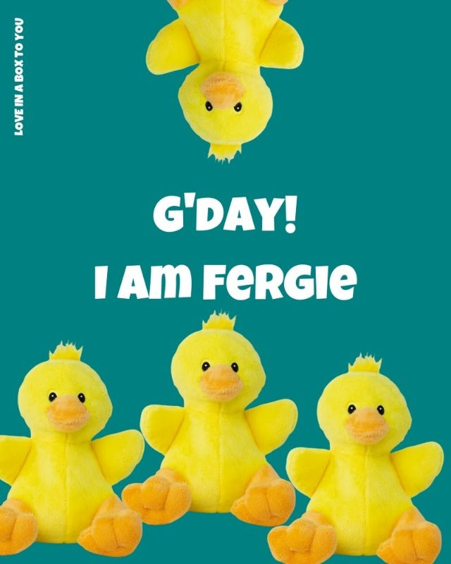 Yellow Duck plush animal toys gift care package in Australia