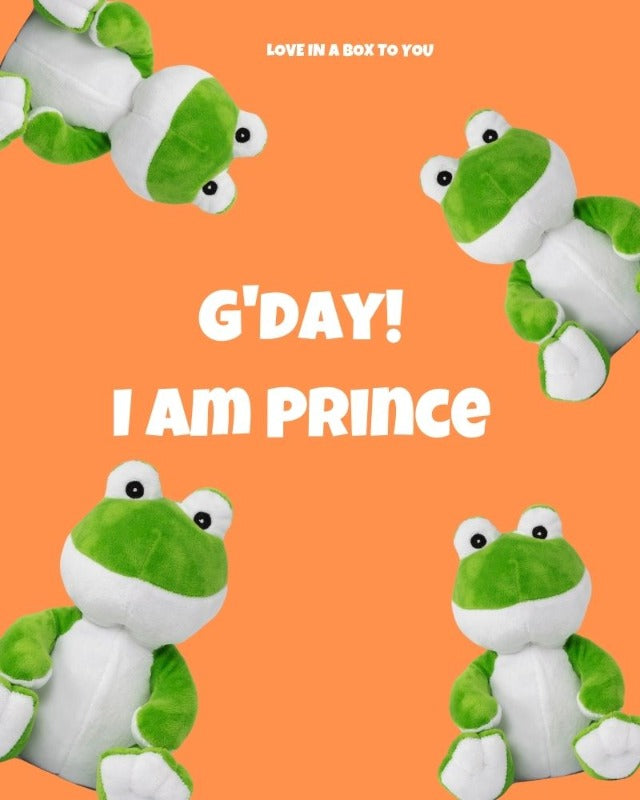 Green Frog plush animal toys gift care package in Australia 
