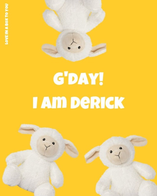 While Lamb Sheep plush animal toys gift care package in Australia