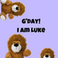 Jungle King Lion plush animal toys gift care package in Australia 