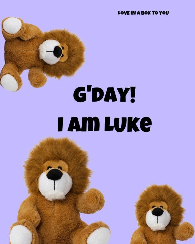 Jungle King Lion plush animal toys gift care package in Australia 
