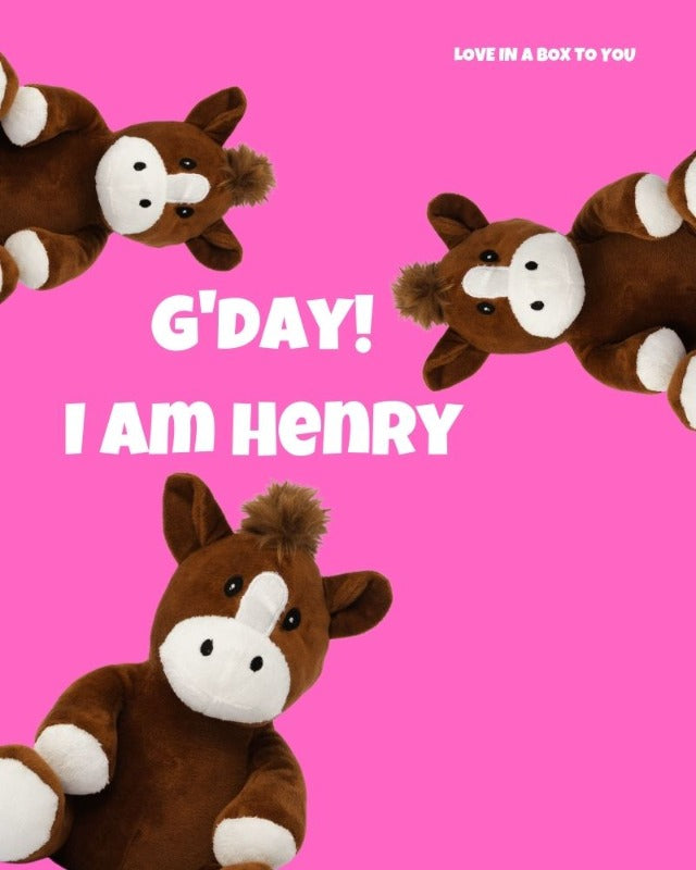 Henry the Horse