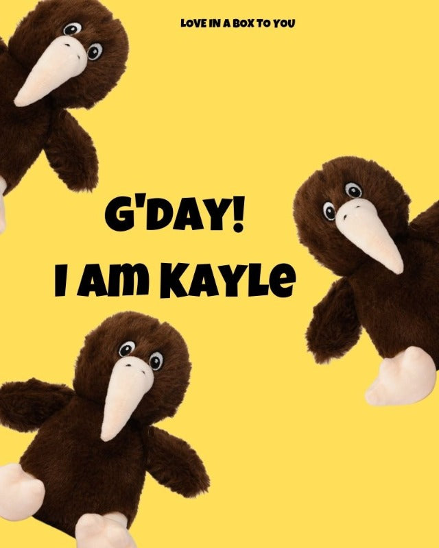 Kiwi Bird from new Zealand plushy stuffed toy in Australia 