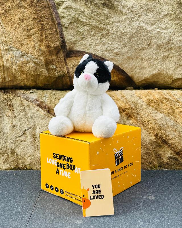 The Best Plush Animal Stuffed Toy Cat