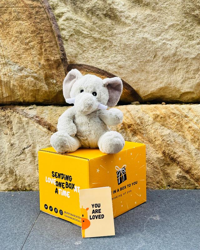 The Best Plush Animal Stuffed Toy