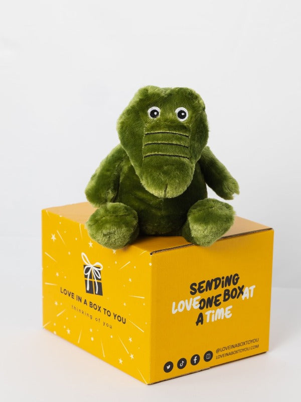 Green Crocodile plush animal toys gift care package in Australia 
