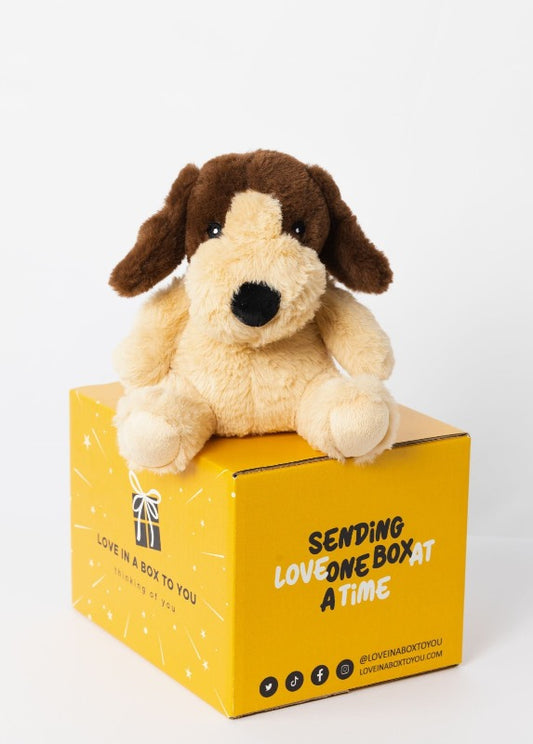Brown Dog plush animal toys gift care package in Australia 