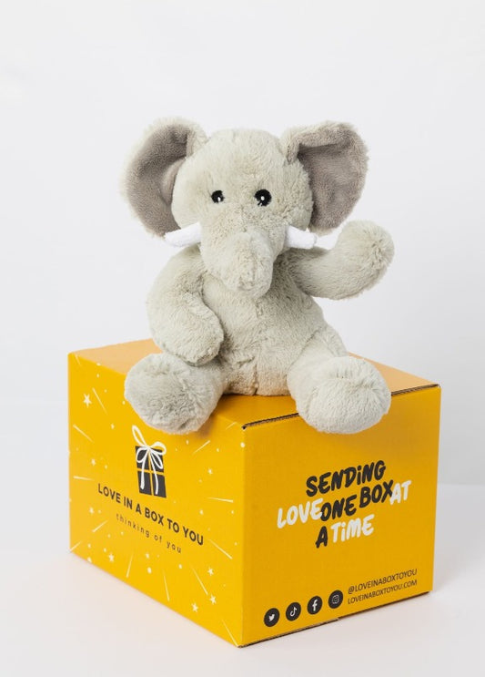Elephant plush animal toys gift care package in Australia 
