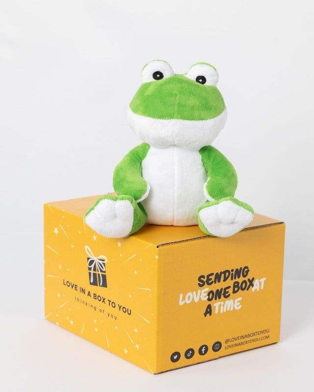 Green Frog plush animal toys gift care package in Australia 