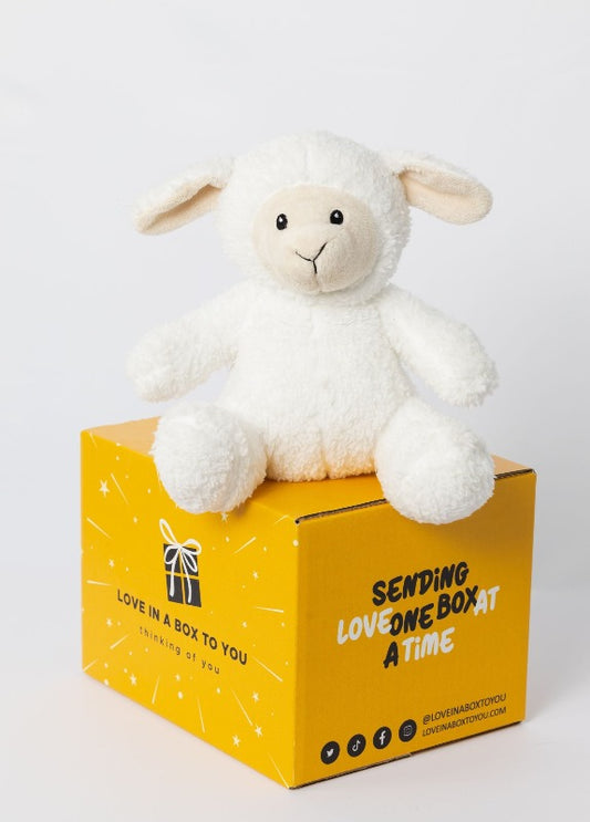 While Lamb Sheep plush animal toys gift care package in Australia 