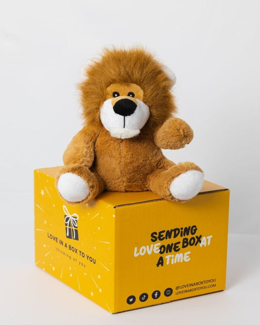 Toby the Teddy Bear  SendAFriend's Stuffed Animal Care Packages