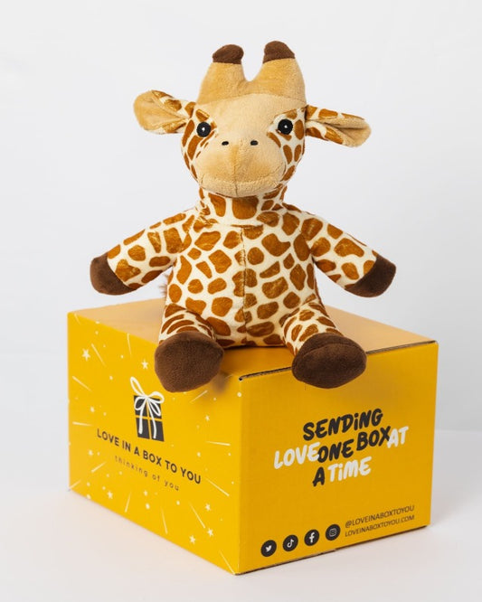Beautiful Giraffe plush animal toys gift care package in Australia 