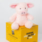 Pick Pig plush animal toys gift care package in Australia 