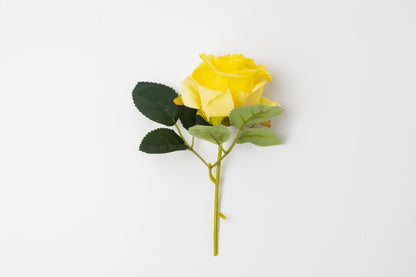 Yellow Rose